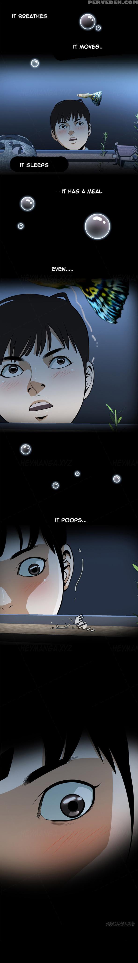 Take A Peek Ch.1-2 (english) (ongoing) Chapter 1000 Page 3